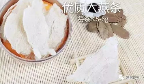 燕窝小燕条与大燕条：区别、挑选要点与食用方法全解析