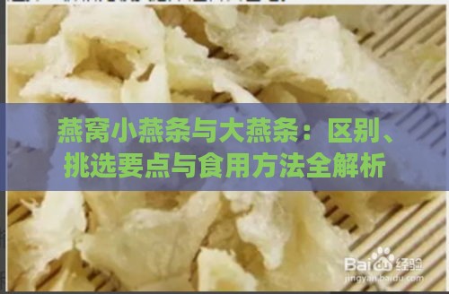 燕窝小燕条与大燕条：区别、挑选要点与食用方法全解析