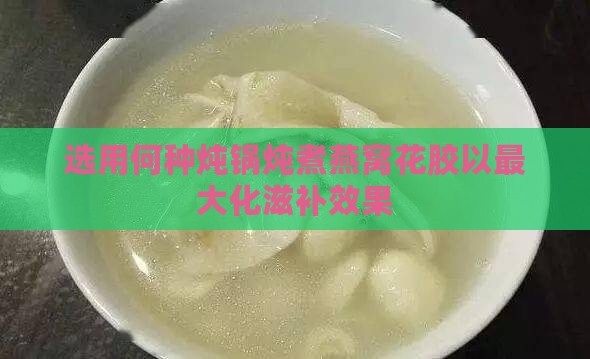 选用何种炖锅炖煮燕窝花胶以更大化滋补效果