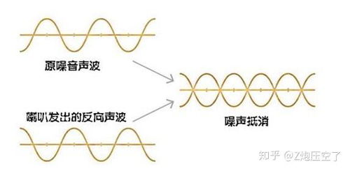 2023年燕窝选购指南：从、类型到性价比，全方位解析如何挑选优质燕窝