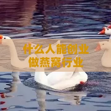 什么人能创业做燕窝行业