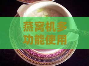 燕窝机多功能使用指南：炖粥、煮汤及其他烹饪技巧