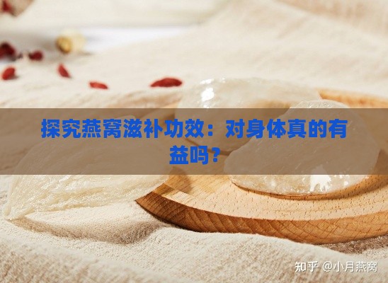 探究燕窝滋补功效：对身体真的有益吗？