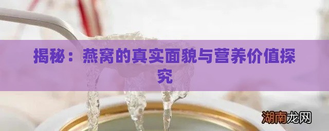 揭秘：燕窝的真实面貌与营养价值探究