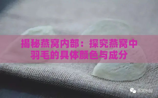 揭秘燕窝内部：探究燕窝中羽毛的具体颜色与成分