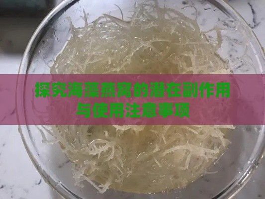 探究海藻燕窝的潜在副作用与使用注意事项