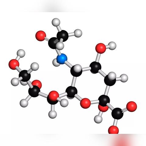 揭秘小燕窝的学名及更多好听别称：全面解析燕窝相关知识