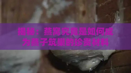 揭秘：燕窝究竟是如何成为燕子筑巢的珍贵材料