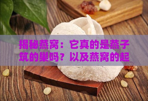 揭秘燕窝：它真的是燕子筑的巢吗？以及燕窝的起源与功效全解析