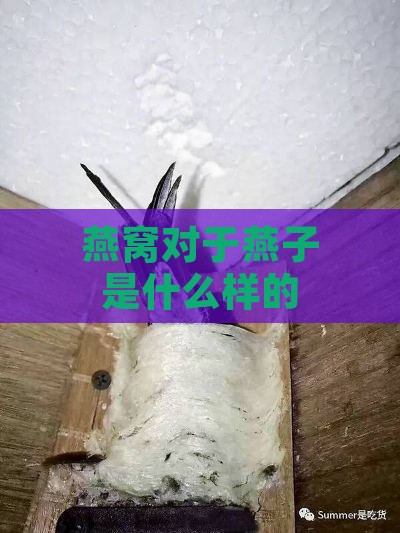 燕窝对于燕子是什么样的