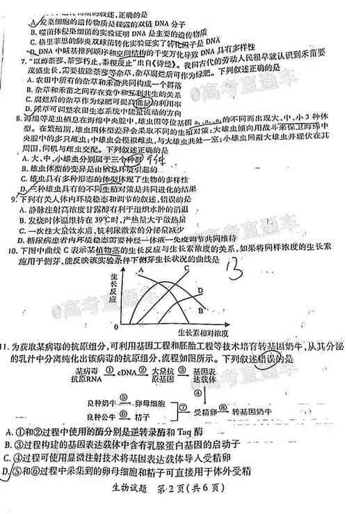 揭秘燕窝中褐色物质的可能成因及其影响：全面解析燕窝质量问题与食用安全