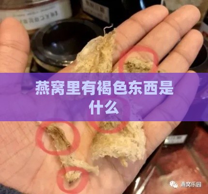 燕窝里有褐色东西是什么