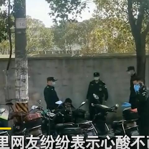 什么的燕窝有保障啊：推荐质量更好、值得买的燕窝