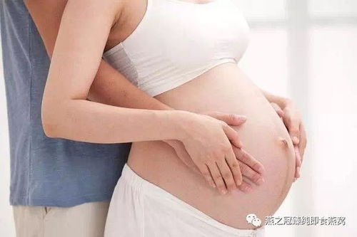 孕期补充燕窝的更佳时机及全程指导：如何科学食用以促进母婴健康