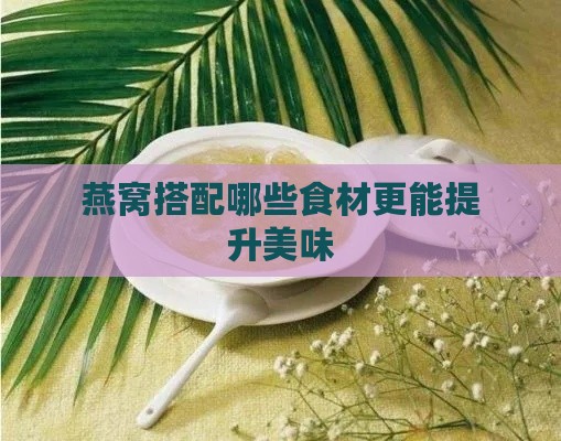 燕窝搭配哪些食材更能提升美味