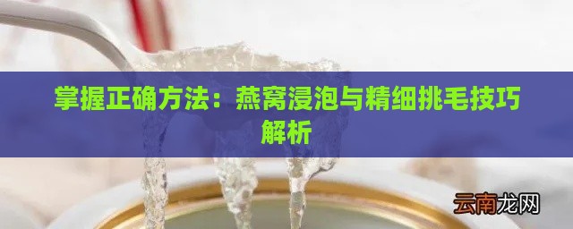 掌握正确方法：燕窝浸泡与精细挑毛技巧解析