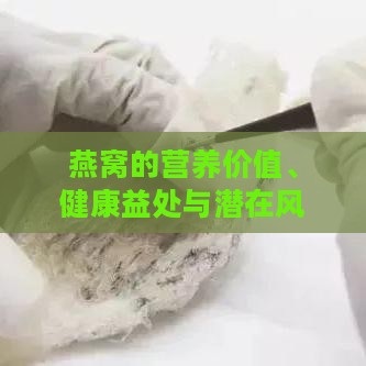 燕窝的营养价值、健康益处与潜在风险：全面解析燕窝对健康的实际影响