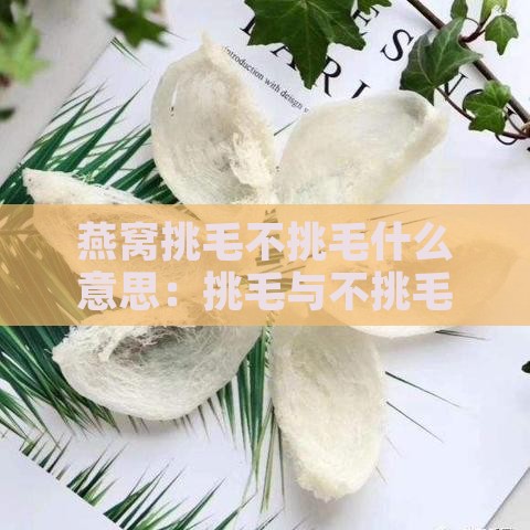 燕窝挑毛不挑毛什么意思：挑毛与不挑毛的燕窝哪种更好