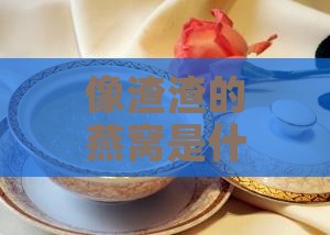 像渣渣的燕窝是什么