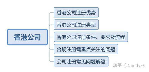 全面解析燕窝集货：含义、流程、优势及常见疑问解答