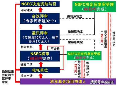 全面解析燕窝集货：含义、流程、优势及常见疑问解答