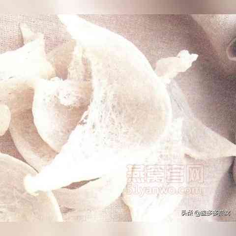 燕窝炖煮完毕如何添加辅料保鲜？揭秘燕窝保存新窍门