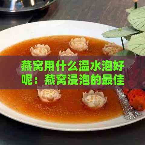 燕窝用什么温水泡好呢：燕窝浸泡的更佳水温选择与水质要求