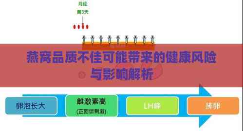 燕窝品质不佳可能带来的健康风险与影响解析