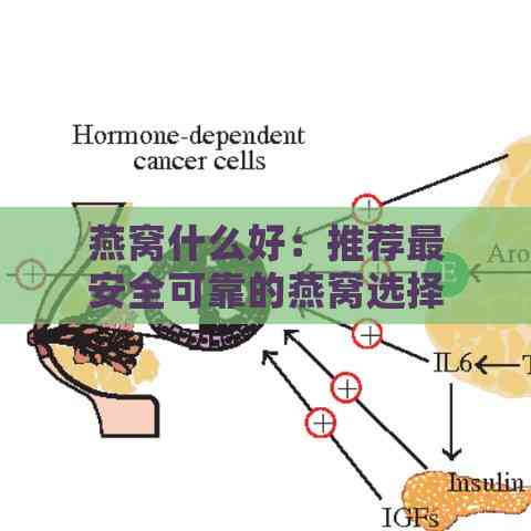 燕窝什么好：推荐最安全可靠的燕窝选择