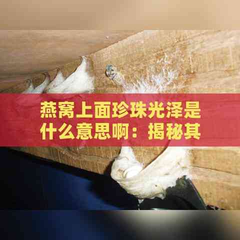 燕窝上面珍珠光泽是什么意思啊：揭秘其独特光泽背后的秘密