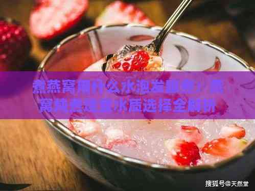 煮燕窝用什么水泡发跟煮：燕窝炖煮适宜水质选择全解析