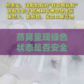 燕窝呈现绿色状态是否安全食用及可能原因解析