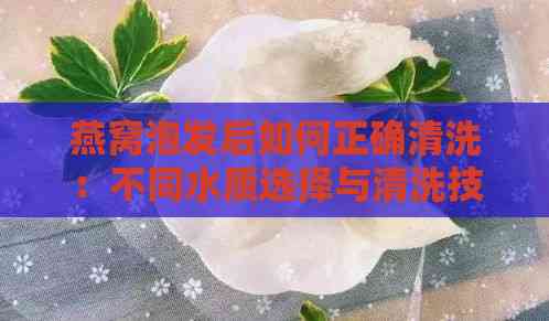 燕窝泡发后如何正确清洗：不同水质选择与清洗技巧全解析