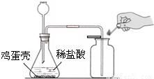 探究燕窝固形物达标含量的标准与测定方法