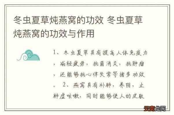 冬虫夏草燕窝饮品如何实现免疫调节与养生保健双重功效