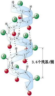 '揭秘燕窝：探讨其独特的物质结构与类型特点'