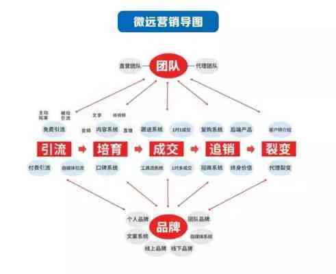 创新燕窝门店精准引流秘诀：高效吸引目标顾客策略解析