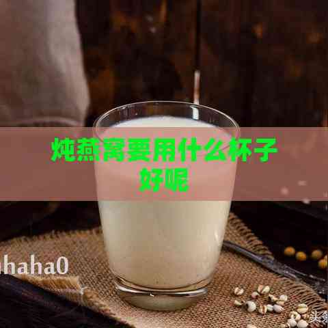 炖燕窝要用什么杯子好呢