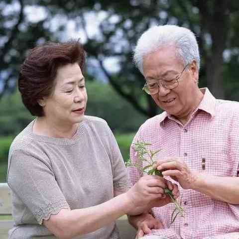 燕窝更佳服用季节是什么