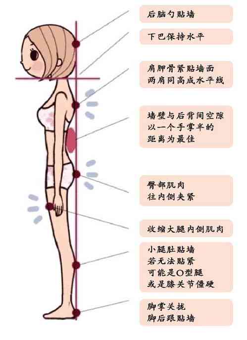 燕窝对人体都有什么好处和坏处：详述其益处与潜在风险