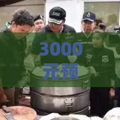 3000元预算挑选高性价比燕窝推荐