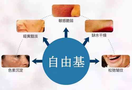 探究燕窝过量食用的潜在副作用与风险