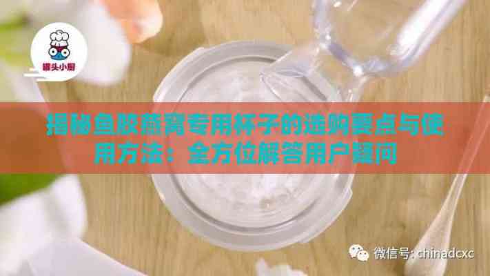 揭秘鱼胶燕窝专用杯子的选购要点与使用方法：全方位解答用户疑问