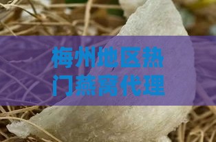 梅州地区热门燕窝代理推荐：探寻高品质燕窝代理选择