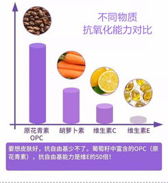 全面解析：澳洲燕窝胶囊的营养成分、功效与适用人群