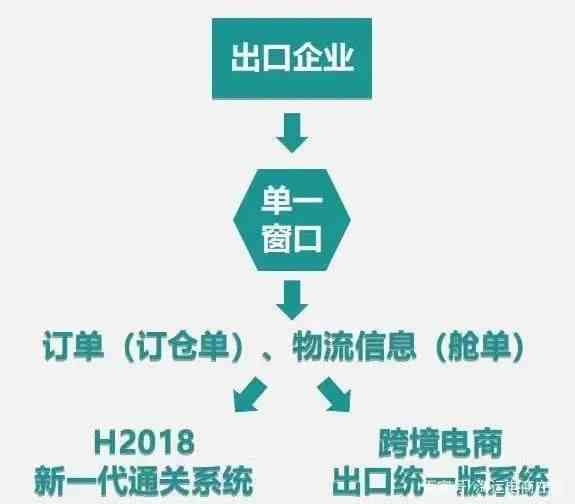 燕窝批发业务成功攻略：掌握关键细节与要点