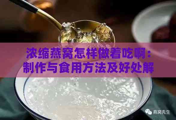 浓缩燕窝怎样做着吃啊：制作与食用方法及好处解析