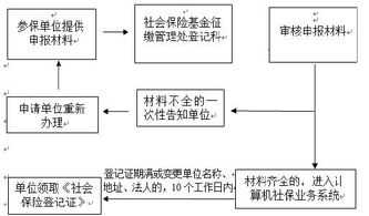 详尽指南：燕窝定型模具的正确使用与燕窝加工全流程解析