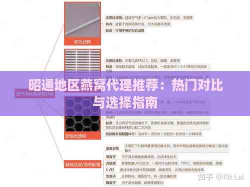 昭通地区燕窝代理推荐：热门对比与选择指南