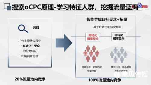 2023年干燕窝排行榜：全面解析各优劣与选购指南